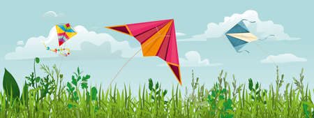 Summer day grass kite composition with horizontal landscape view of green field with flying colorful kites vector illustrationのイラスト素材
