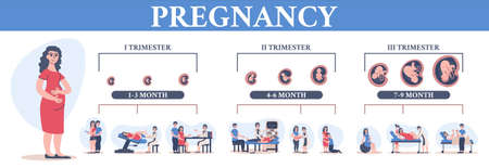 Pregnancy childbirth timeline flat composition with isolated icons of different stages doctors consultations and fetus growth vector illustrationのイラスト素材