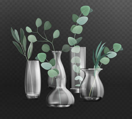 Dark transparent background with green bunches of eucalyptus in different glass vases realistic vector illustrationのイラスト素材