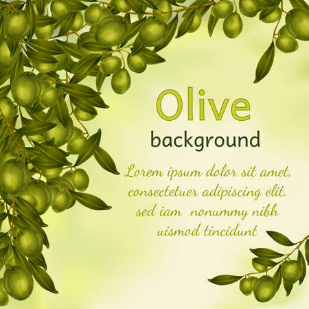 Organic natural food olive tree branch background vector illustrationのイラスト素材