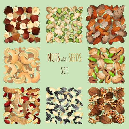 Nuts and seeds mix decorative elements set vector illustrationのイラスト素材