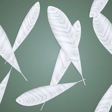 Seamless pattern of beautiful white white feathers. EPS10 opacity in shadowsのイラスト素材