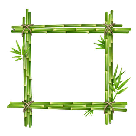 Vector frame from bamboo stems and leaves tied with rope isolated on white backgroundのイラスト素材