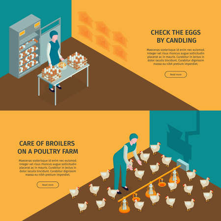 Isometric poultry farm horizontal banners set with editable text clickable read more button and worker characters vector illustrationのイラスト素材