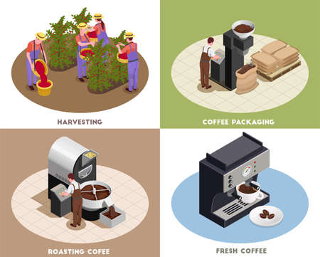 Coffee industry production concept 4 isometric icons square with harvesting roasting packaging fresh brewed drink vector illustrationのイラスト素材