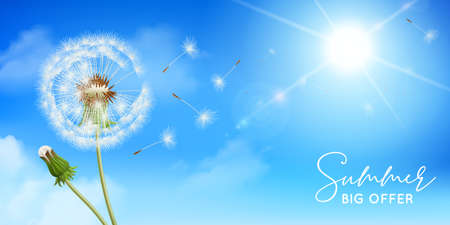 Realistic dandelions composition with text sky background with sun and flowers with feathers and editable text vector illustrationのイラスト素材