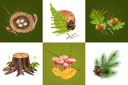 Realistic botanical design concept with square compositions of mushrooms cones and leaves with eggs in nest vector illustrationのイラスト素材