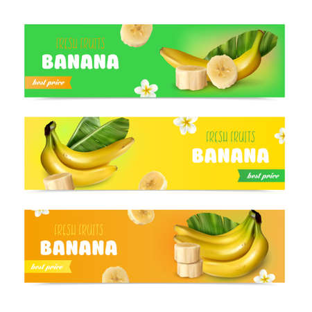 Banana realistic horizontal banners with advertising of fresh fruits and best price isolated vector illustrationのイラスト素材