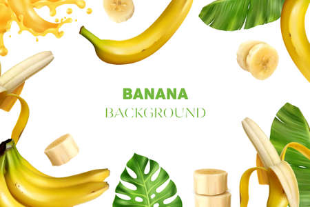 Realistic banana frame background composition with images of bananas fresh leaves slices and juice with text vector illustrationのイラスト素材
