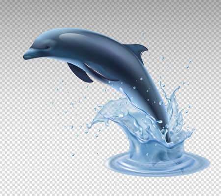 Jumping dolphin on transparent background realistic and colored icon with water splash vector illustrationのイラスト素材