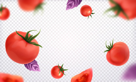 Fresh red whole and slice tomatoes with green twig and violet basil leaves on transparent background realistic vector illustrationのイラスト素材