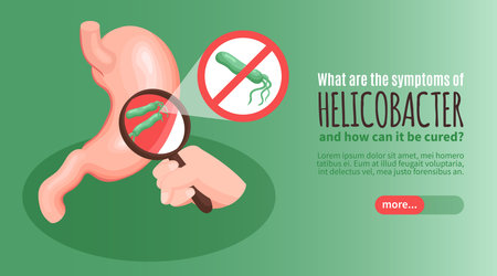 Isometric gastroenterology helicobacter horizontal banner with what are the symptoms of helicobacter and how can it be cured headline vector illustrationのイラスト素材