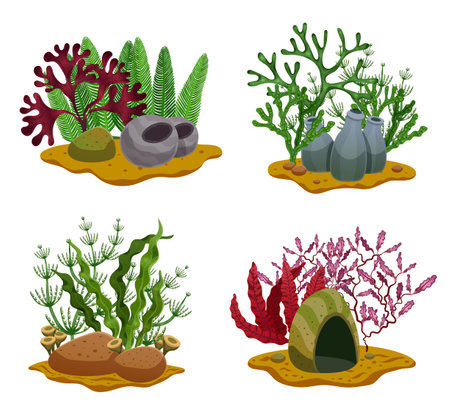 Seaweeds 4 flat underwater colorful decorative elements set with different algae types stones lighting isolated vector illustrationのイラスト素材