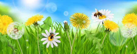 Realistic dandelions background composition with sky sun light specks and natural grass with bees and flowers vector illustrationのイラスト素材