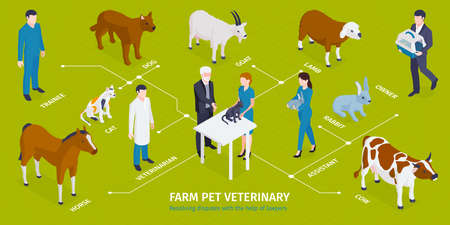 Isometric veterinary infographics with editable text captions characters of medical workers with...