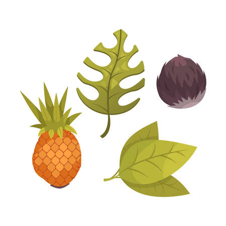 Cartoon tropical fruits and green leaves isolated on white background vector illustrationのイラスト素材