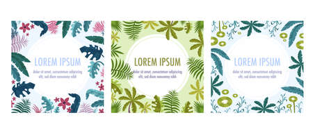 Frame plants flat set of three square compositions with circle place for text leaves and flowers vector illustrationのイラスト素材