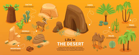 Life in desert isometric infographics with green trees and plants mountains and wild animals vector illustrationのイラスト素材