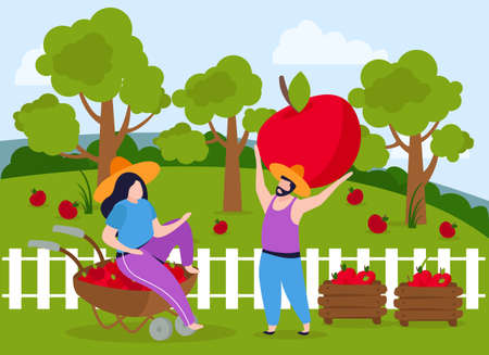 Harvesting flat composition with garden scenery and white fence with man carrying huge apple to woman vector illustrationのイラスト素材