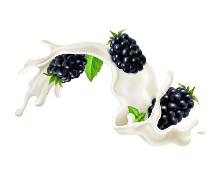 Realistic milk yogurt berries composition with splashes of white liquid and ripe berry vector illustrationのイラスト素材