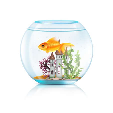Glass acrylic aquarium round fish bowl with decorative castle aquatic plants big goldfish realistic composition vector illustrationのイラスト素材