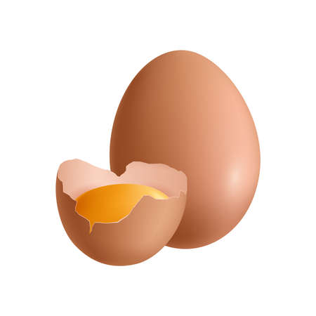 Brown whole and half chicken egg with yolk realistic vector illustrationのイラスト素材