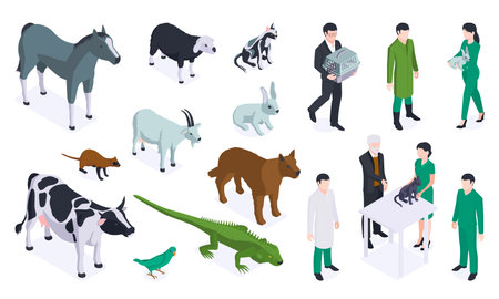 Isometric veterinary color icon set with different type of animals and doctors vector illustrationのイラスト素材