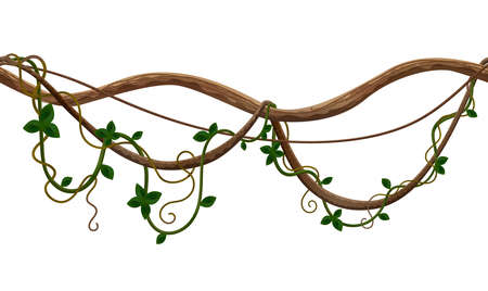 Tropical jungle lianas composition with swirling wooden stalks vector illustrationのイラスト素材