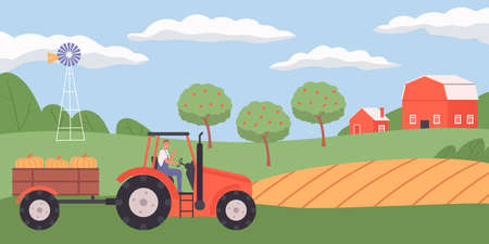 Flat agriculture background with farmer driving trailer and carrying harvested pumpkins in trailer vector illustrationのイラスト素材