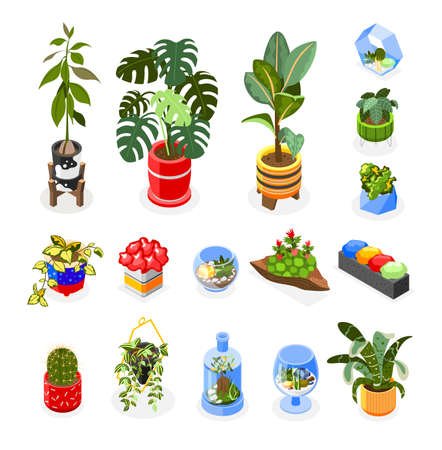 Plants isometric icons set with houseplants and hanging decoration isometric isolated vector illustrationのイラスト素材