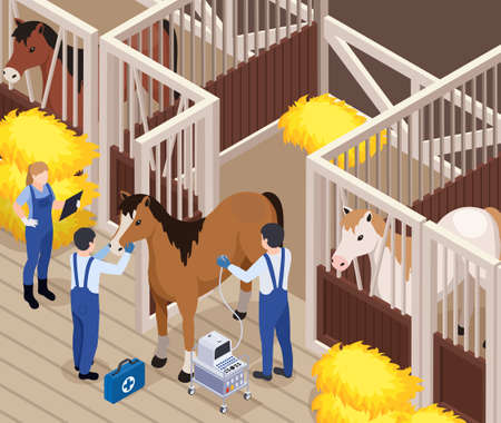 Farm animals livestock veterinary isometric composition with horse barn indoor scenery and vets brigade examining horse vector illustrationのイラスト素材