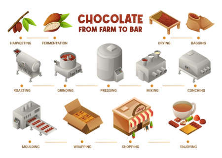 Chocolate production isometric infographics scheme from harvesting to roasting moulding wrapping and shopping vector illustrationのイラスト素材