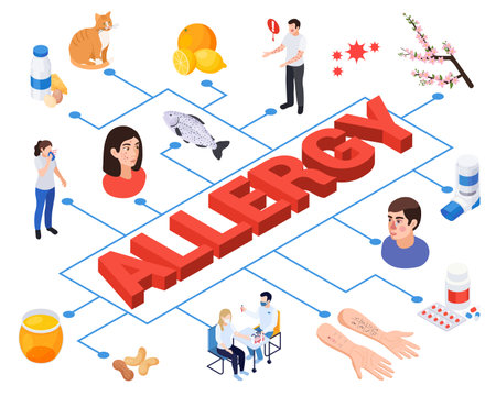 Allergy symptoms isometric composition with text surrounded by isolated icons of allergens sick people in flowchart vector illustrationのイラスト素材