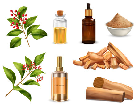 Sandalwood sticks powder flowers and bottles of perfume and essential oil realistic set isolated on white background vector illustrationのイラスト素材