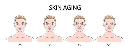 Skin aging poster with human female faces front view from twenty five to fifty five years flat vector illustrationのイラスト素材