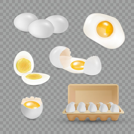 Realistic set of raw boiled fried chicken eggs eggshell container isolated on transparent background vector illustrationのイラスト素材