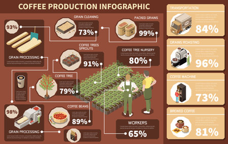 Coffee production industry isometric  infographics depicting coffee tree nursery grain processing cleaning roasting package vector illustrationのイラスト素材