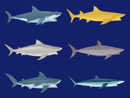 Attack sharks flat set with isolated side view images of colored predatory fishes on blue background vector illustrationのイラスト素材