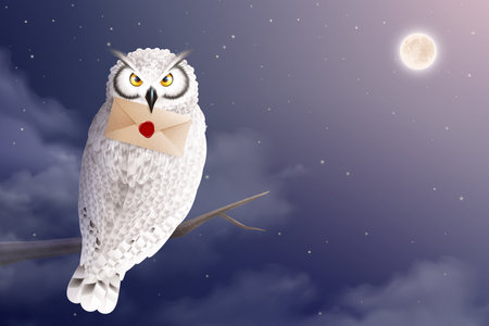 Owl with letter realistic composition with night view and bird on tree holding sealed paper envelope vector illustrationのイラスト素材