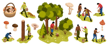 Isometric mushroom pickers forest set of isolated icons with baskets trees and people searching for mushrooms vector illustrationのイラスト素材