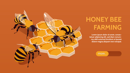 Beekeeping isometric horizontal banner with bees and honeycombs on color background 3d vector illustrationのイラスト素材