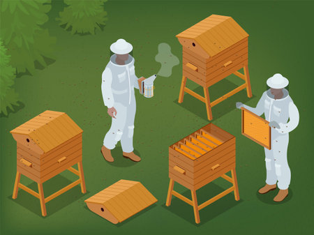 Beekeeping isometric background with two beekeepers in apiary using smoker and holding honey frame 3d vector illustrationのイラスト素材