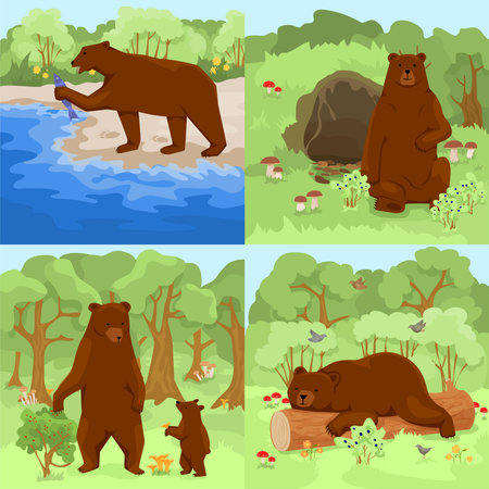 Set with four square compositions with outdoor forest landscapes and brown grizzly bears in their habitat vector illustrationのイラスト素材