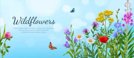 Realistic wildflowers poster with colorful flowers with flying butterfies on blue sky background vector illustrationのイラスト素材
