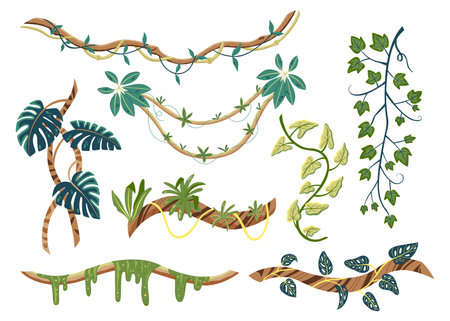 Flat set of tropical lianas with green leaves isolated on white background vector illustrationのイラスト素材
