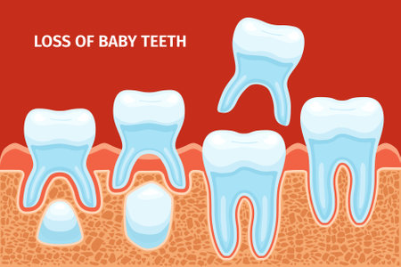 Milk teeth anatomy background with composition of editable text and profile view of infants jaw development vector illustrationのイラスト素材