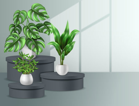Houseplants interior background with exotic garden realistic  vector illustrationのイラスト素材