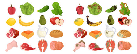 Fresh and rotten food set of fruits vegetables meat bread and dairy products isolated vector illustrationのイラスト素材