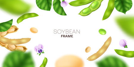 Realistic soybean frame with green and white soy beans and flowers vector illustrationのイラスト素材