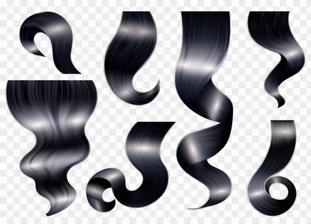Realistic female hair brunette set of isolated black ringlets with spots of light on transparent background vector illustrationのイラスト素材